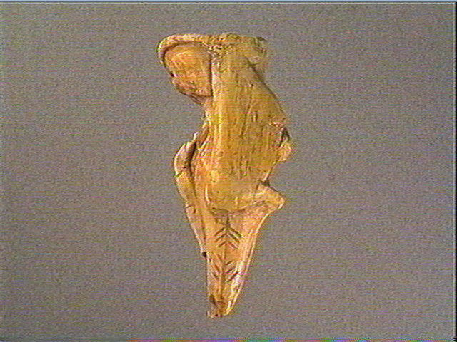 Pendeloque, dent (cachalot)_0