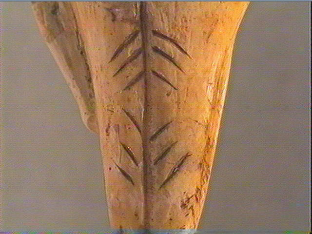 Pendeloque, dent (cachalot)_4