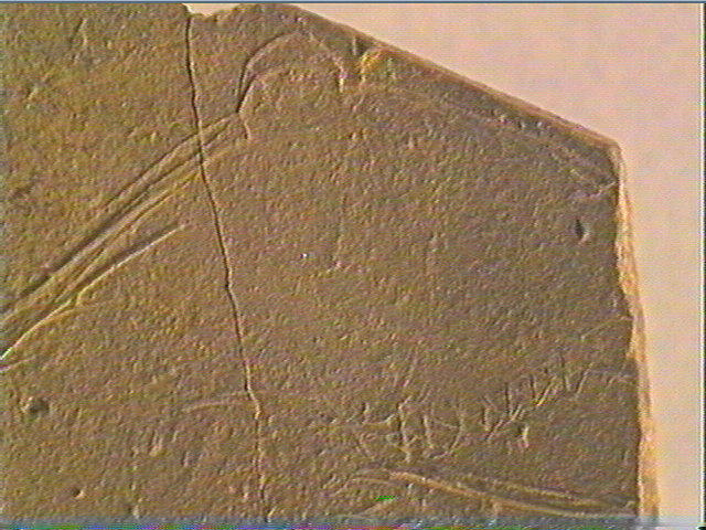 Plaquette (fragment)_6