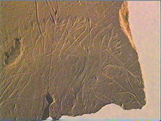 Plaquette (fragment)_2