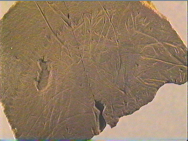 Plaquette (fragment)_3
