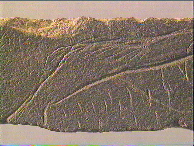 Plaquette (fragment)_6