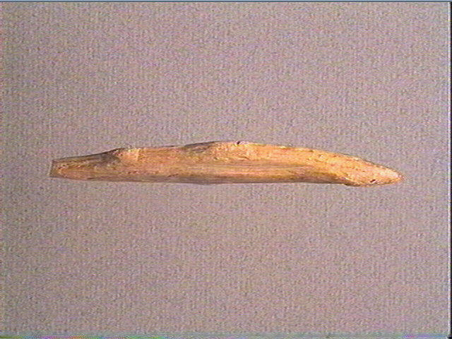 Contour découpé_1