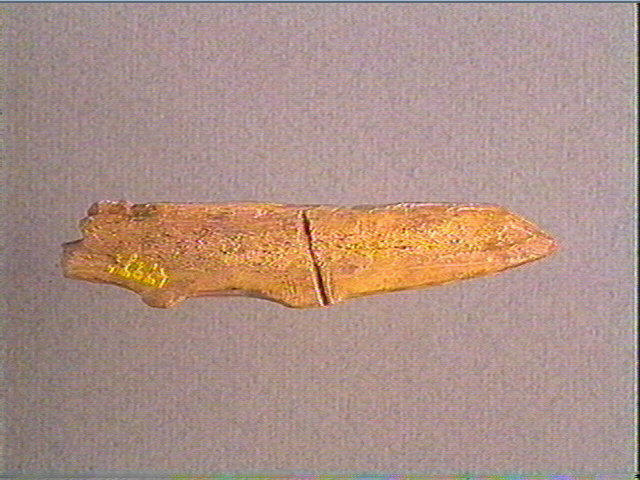 Contour découpé_2