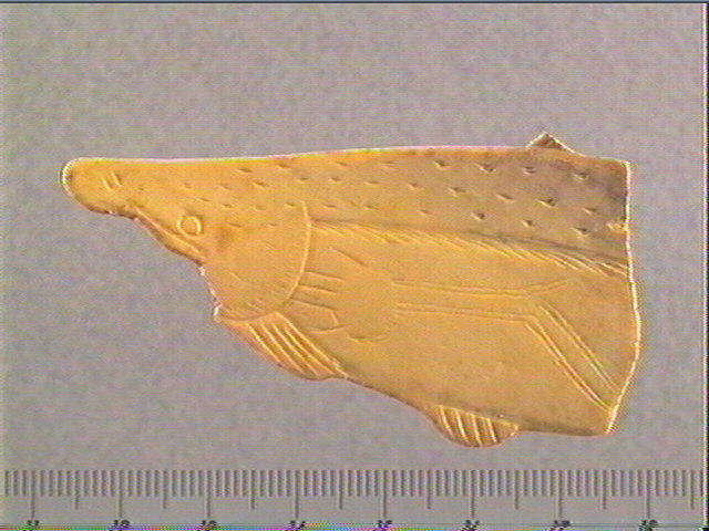 Contour découpé, scapula_0