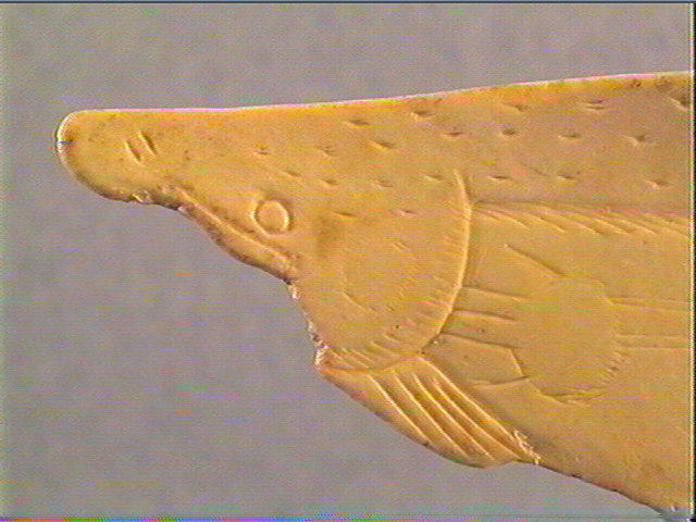 Contour découpé, scapula_4