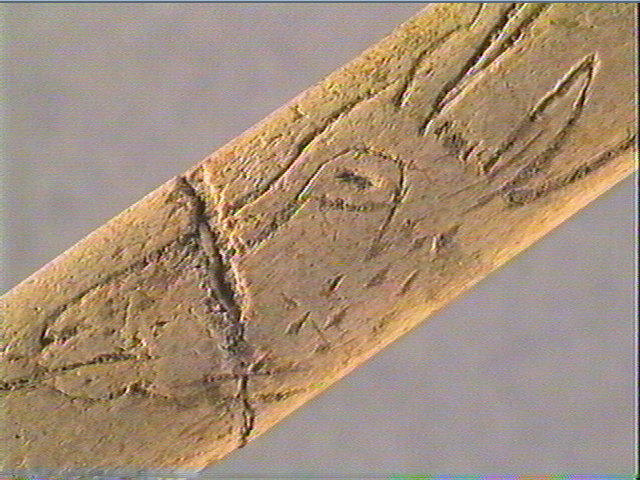 Baguette demi-ronde_3