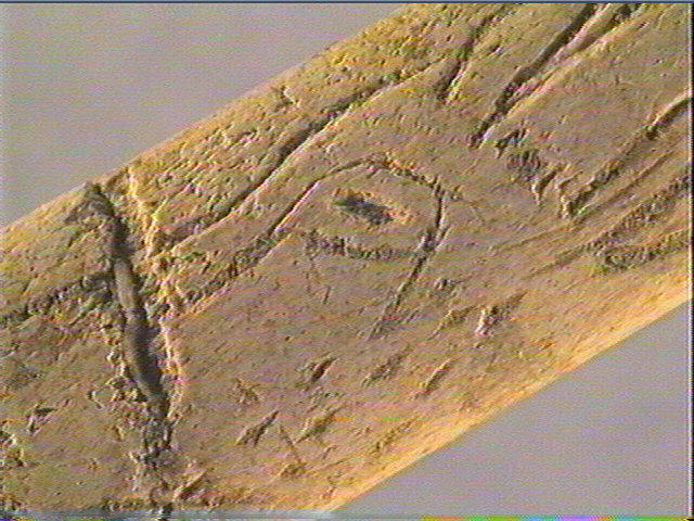 Baguette demi-ronde_5