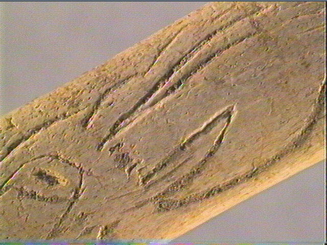 Baguette demi-ronde_6