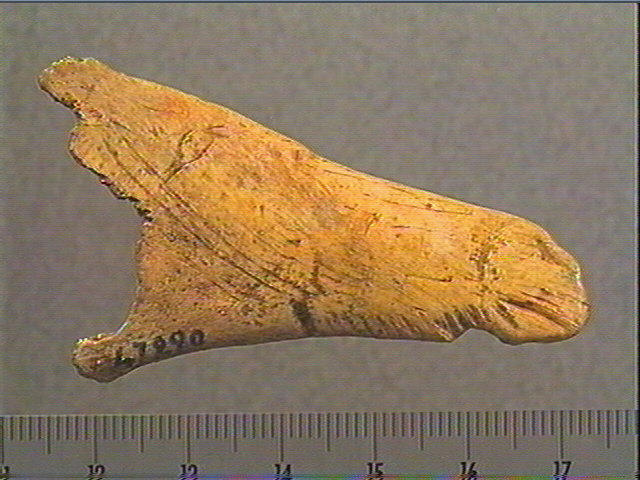 Contour découpé_0