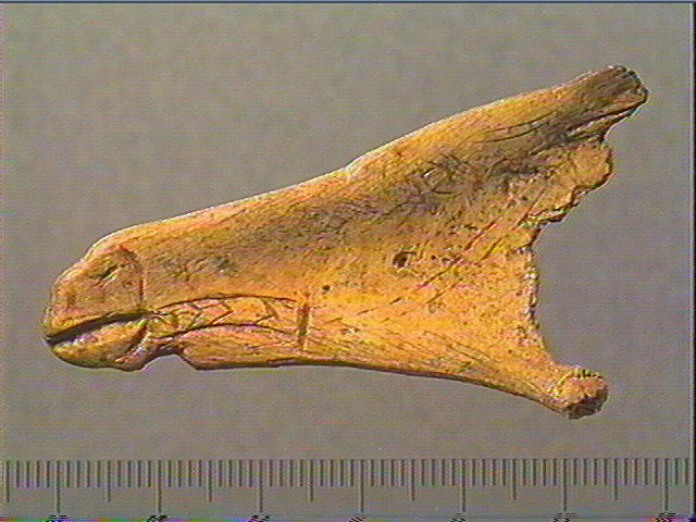 Contour découpé_1