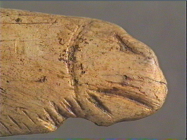 Contour découpé_4