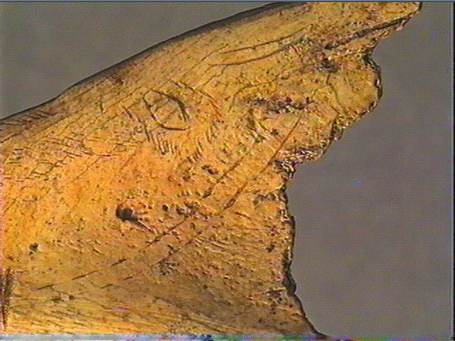 Contour découpé_5