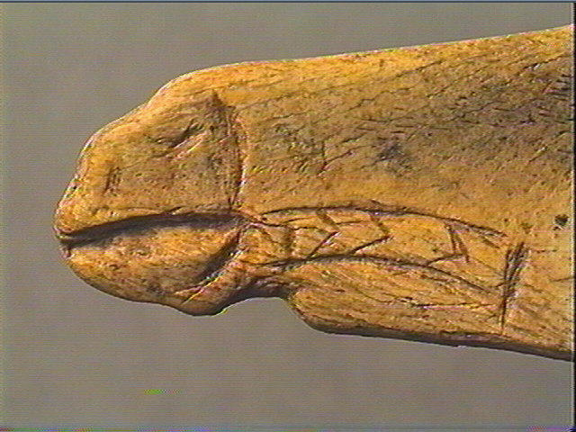 Contour découpé_6