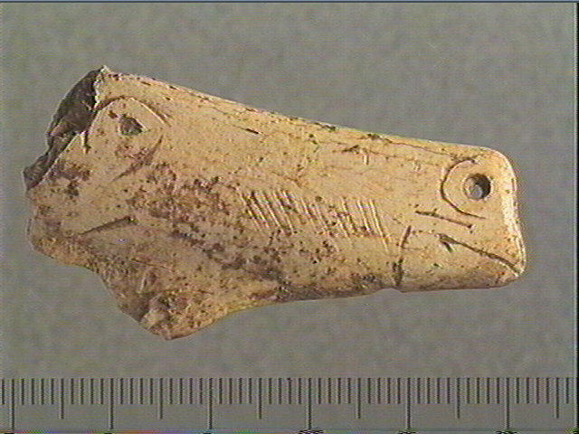 Contour découpé_0