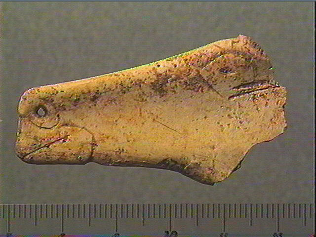 Contour découpé_1
