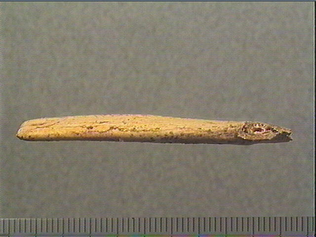 Contour découpé_2