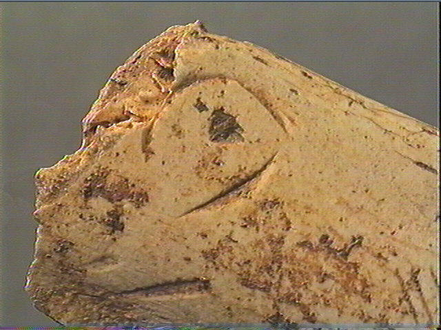 Contour découpé_3