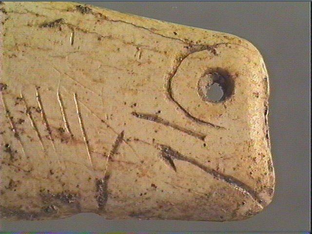 Contour découpé_4