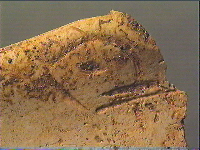 Contour découpé_5