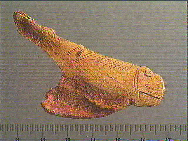 Contour découpé_0