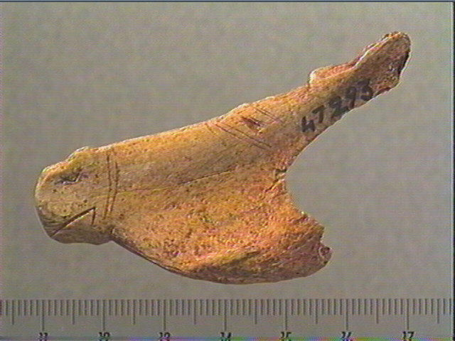 Contour découpé_1
