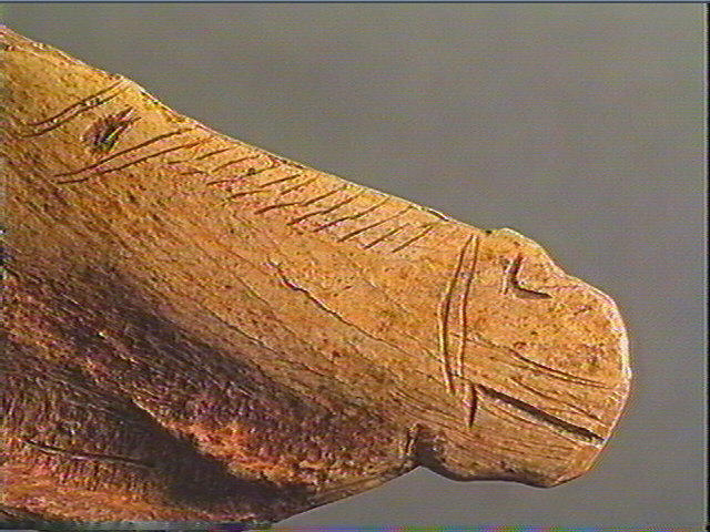 Contour découpé_4