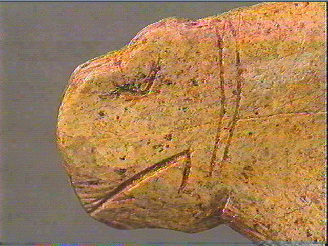 Contour découpé_6