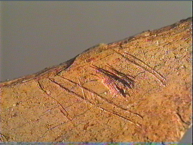 Contour découpé_5