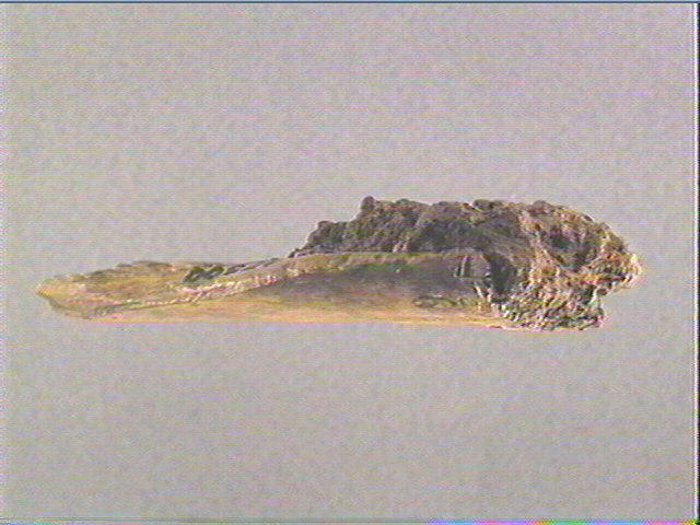 Os indéterminé_1