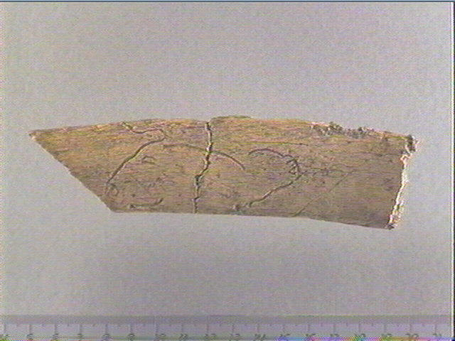 Côte_0