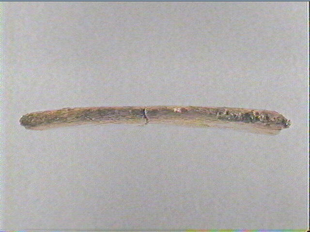 Côte_1