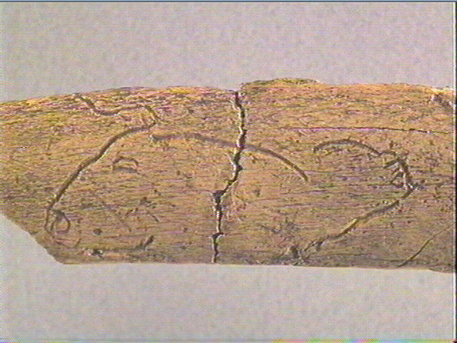 Côte_3