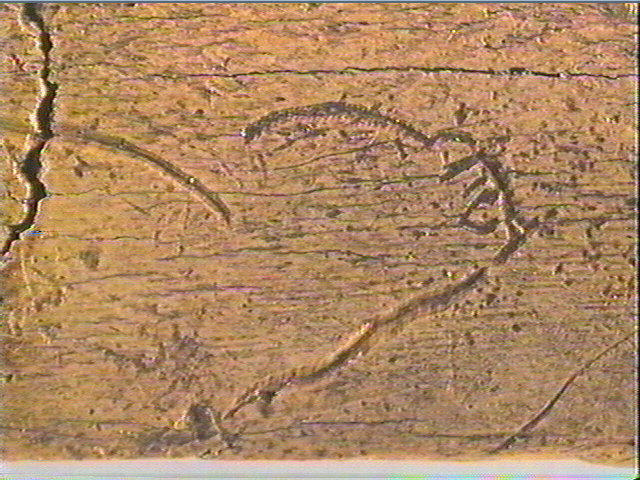 Côte_5
