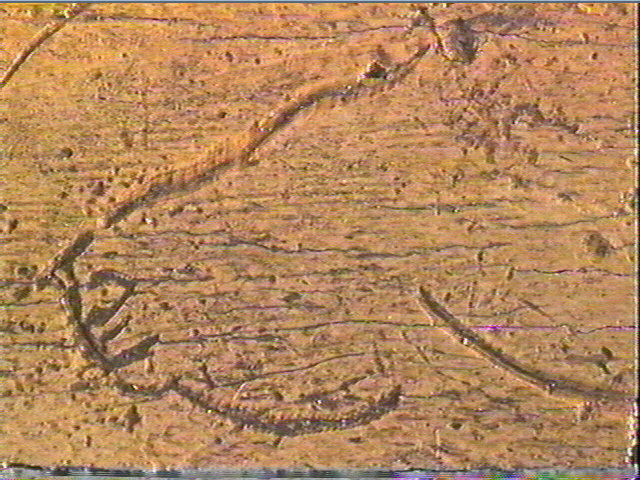 Côte_6