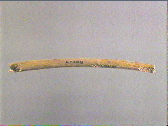 Côte_1