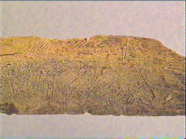 Côte_3