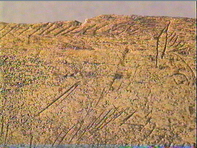 Côte_5