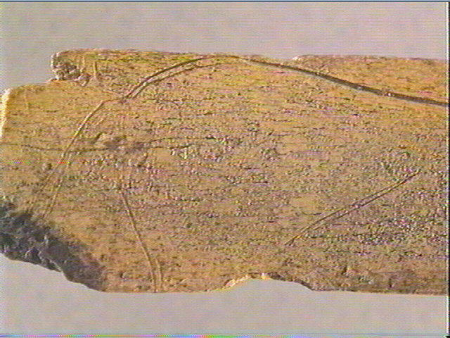 Côte_6