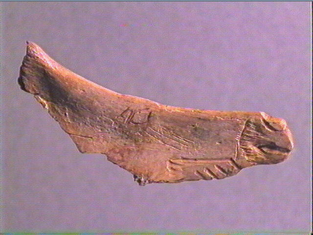 Contour découpé, os hyoïde_0