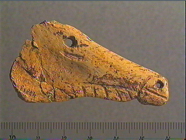 Contour découpé, os hyoïde_0