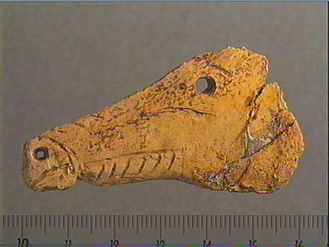Contour découpé, os hyoïde_1