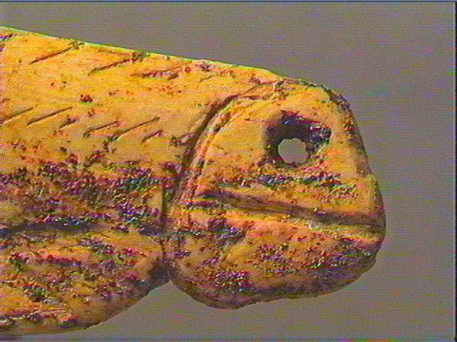 Contour découpé, os hyoïde_4