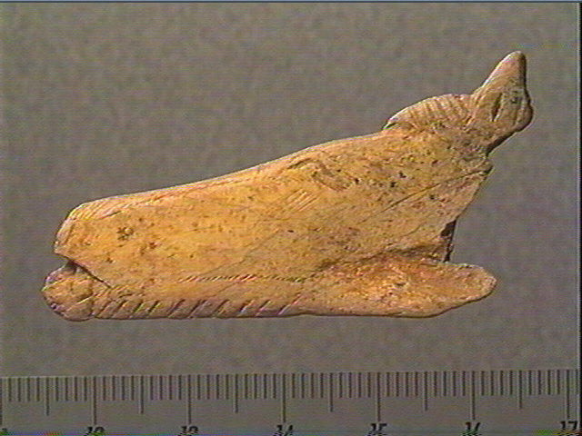 Contour découpé, os hyoïde_1