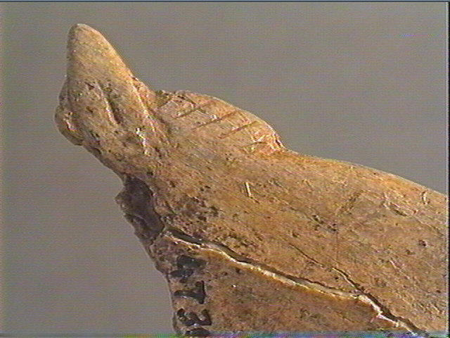 Contour découpé, os hyoïde_3