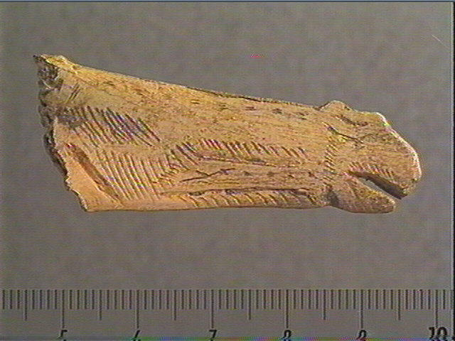 Contour découpé, os hyoïde_0