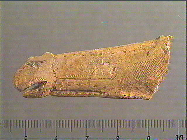 Contour découpé, os hyoïde_1