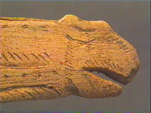 Contour découpé, os hyoïde_4