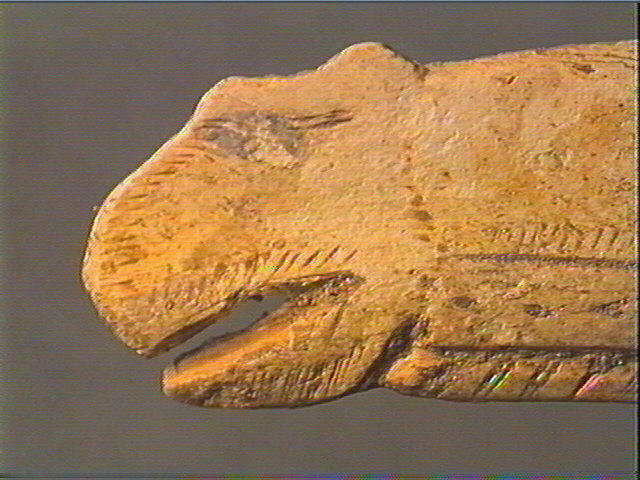 Contour découpé, os hyoïde_6