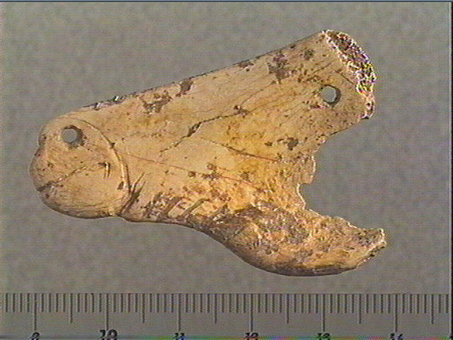 Contour découpé, os hyoïde_1